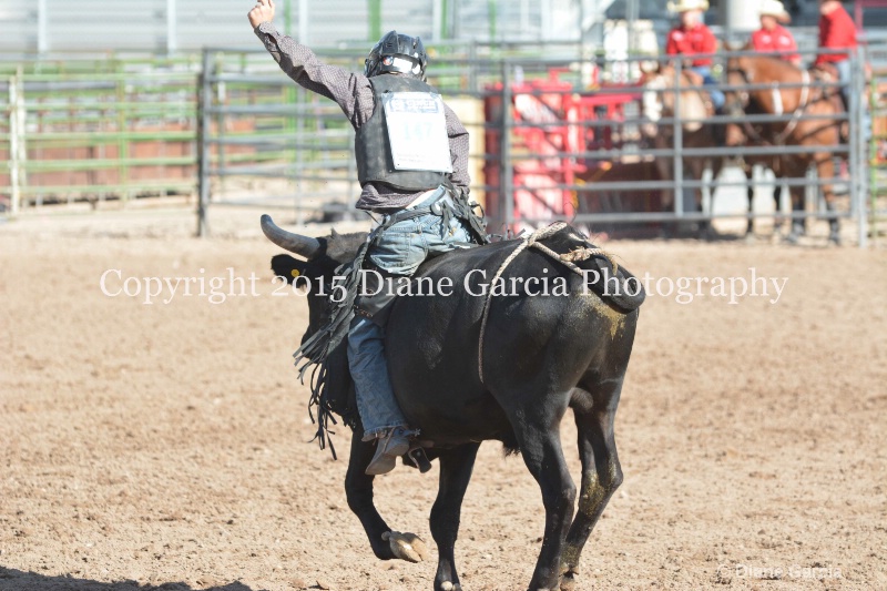 justice hopper jr high rodeo nephi 2015 16