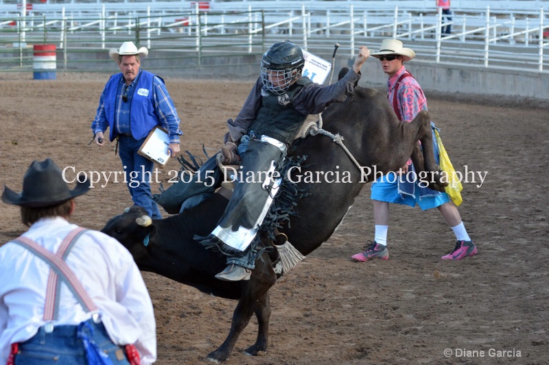 justice hopper jr high rodeo nephi 2015 3