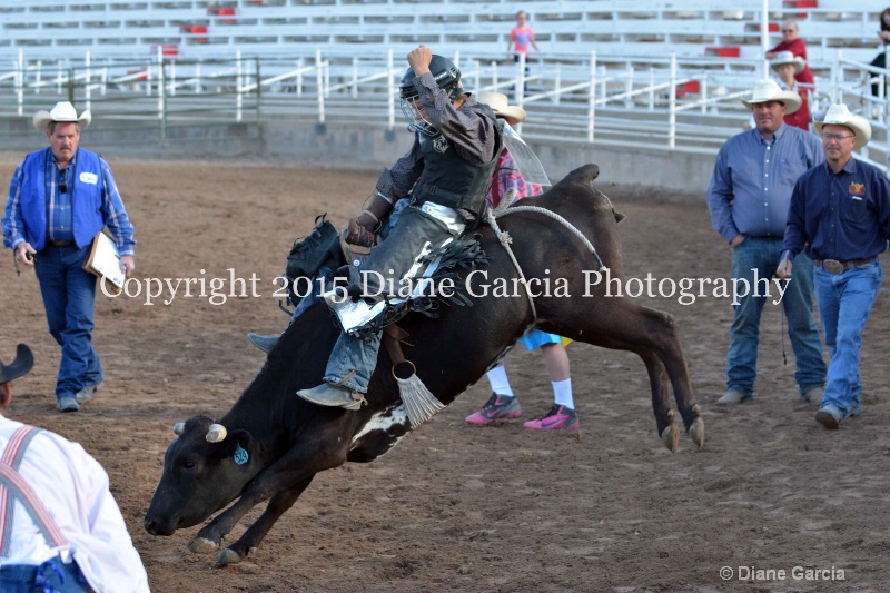 justice hopper jr high rodeo nephi 2015 2