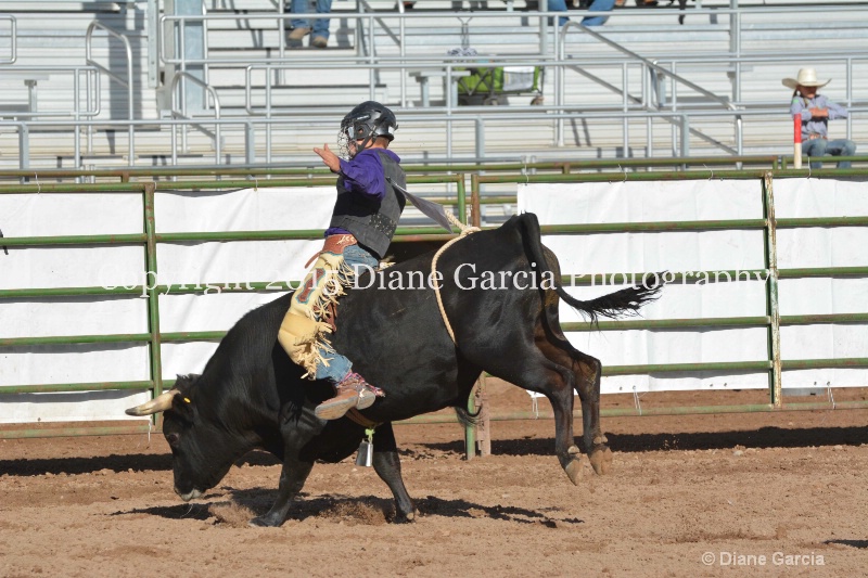 dean thompson jr high rodeo nephi 2015 11