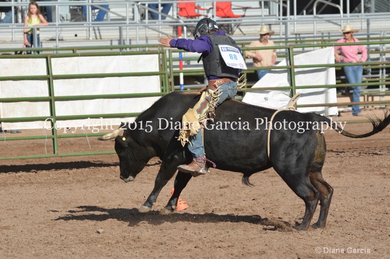 dean thompson jr high rodeo nephi 2015 10