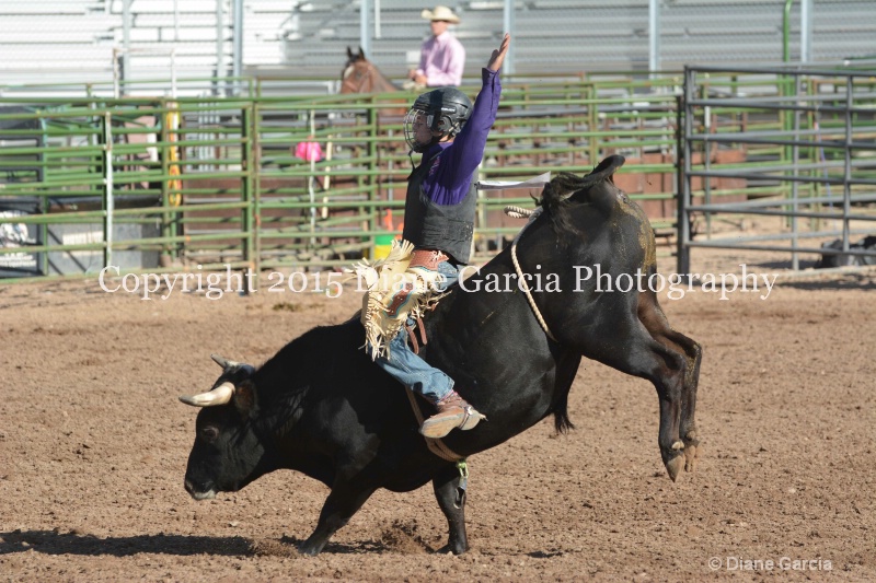 dean thompson jr high rodeo nephi 2015 7