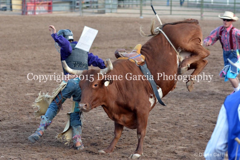dean thompson jr high rodeo nephi 2015 5