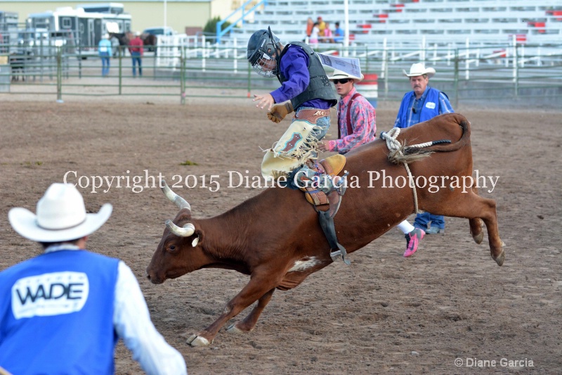 dean thompson jr high rodeo nephi 2015 4