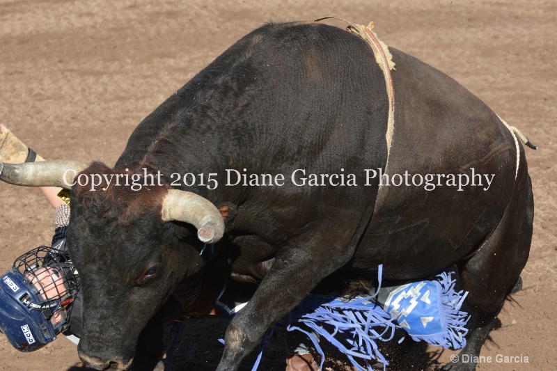 case kohler jr high rodeo nephi 2015 6