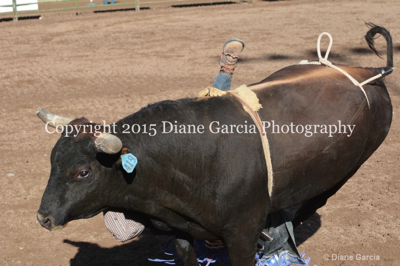 case kohler jr high rodeo nephi 2015 5