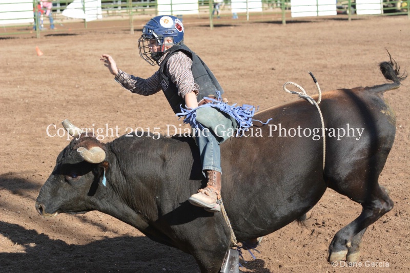 case kohler jr high rodeo nephi 2015 4