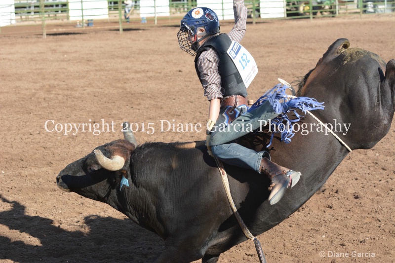 case kohler jr high rodeo nephi 2015 3