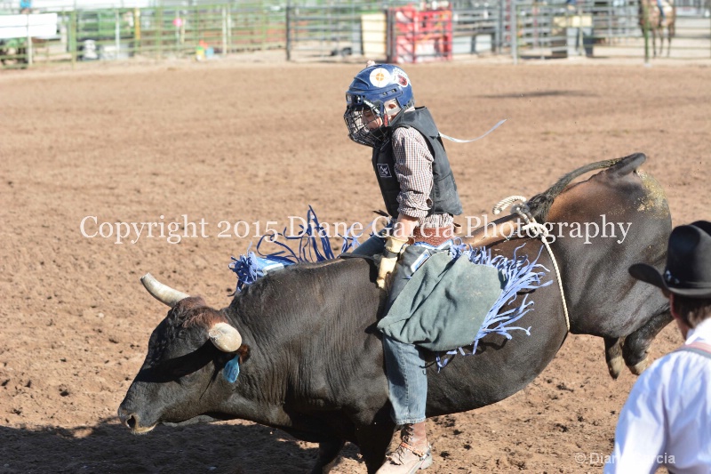 case kohler jr high rodeo nephi 2015 2