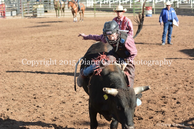 bill henry jr high rodeo nephi 2015 12