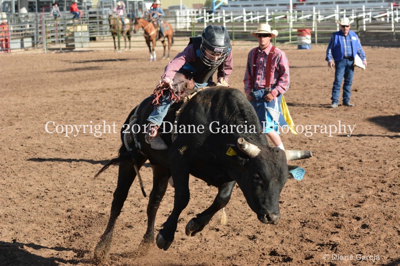 bill henry jr high rodeo nephi 2015 11