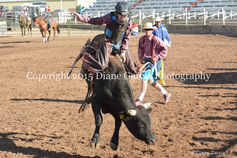 bill henry jr high rodeo nephi 2015 9