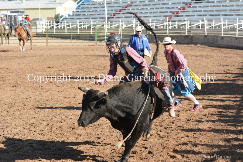 bill henry jr high rodeo nephi 2015 8