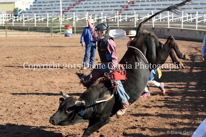 bill henry jr high rodeo nephi 2015 7