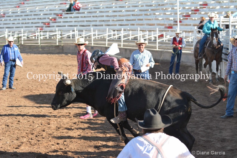 bill henry jr high rodeo nephi 2015 6