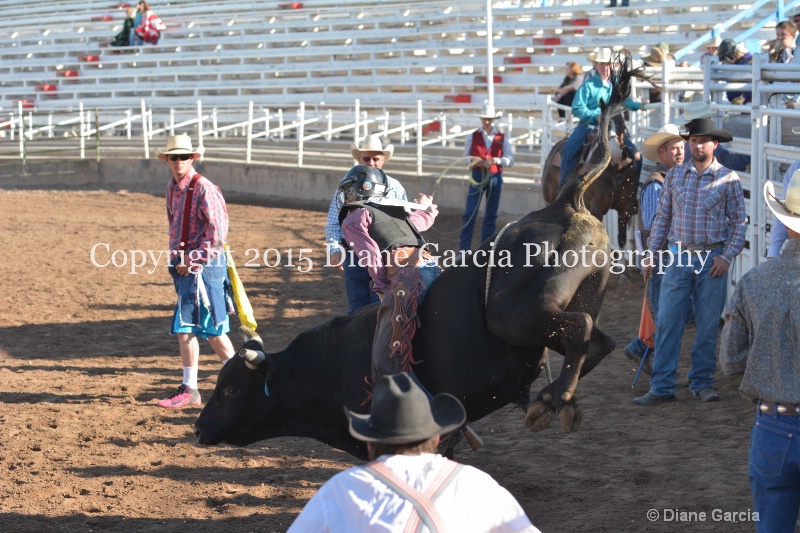 bill henry jr high rodeo nephi 2015 5