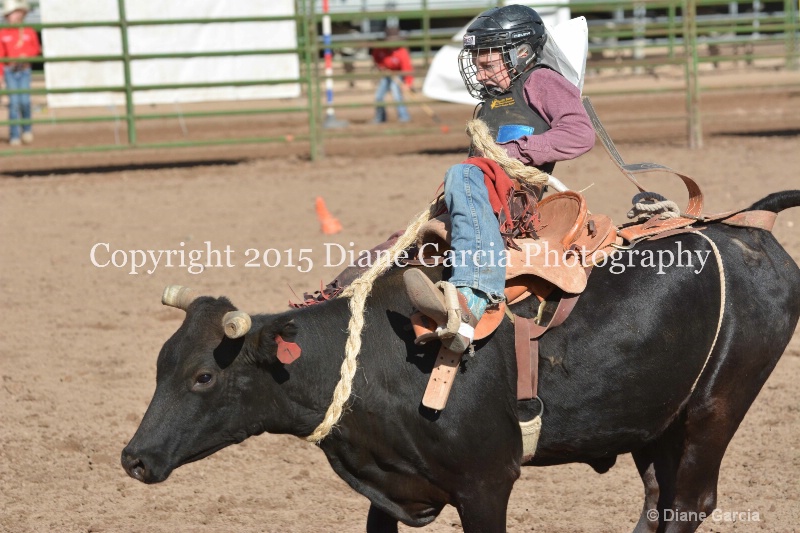 bill henry jr high rodeo nephi 2015 3