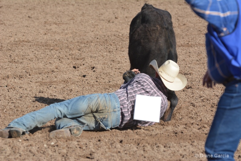 kolton iverson jr high rodeo nephi 2015 3