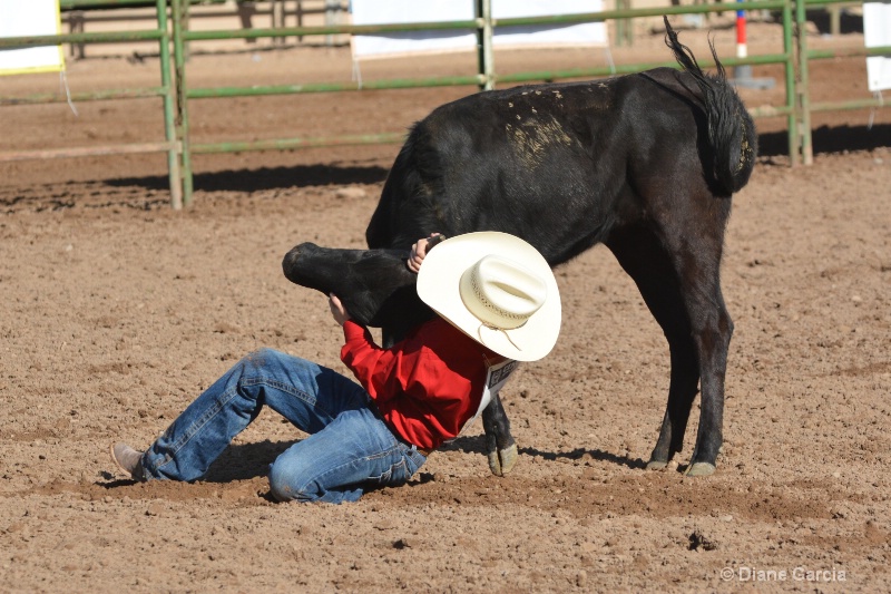jace hanks jr high rodeo nephi 2015 3