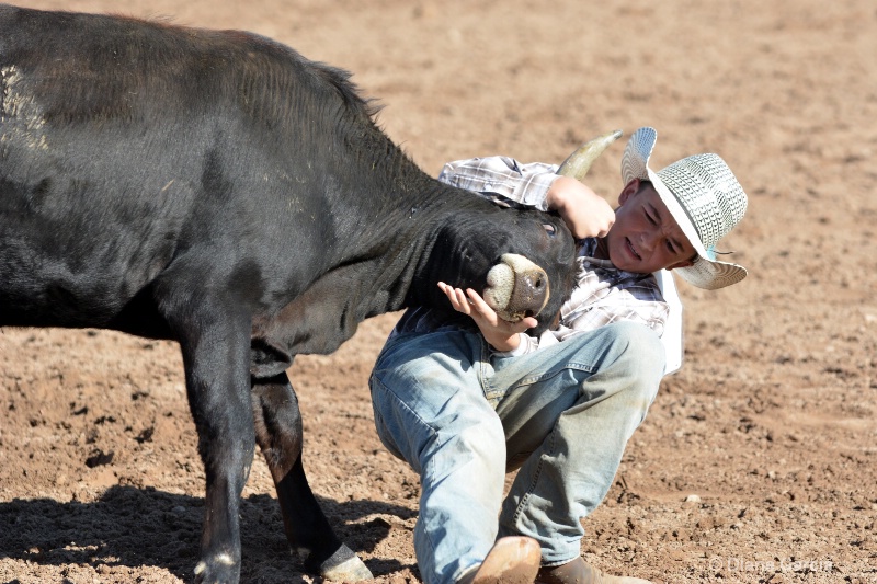 brek sanderson jr high rodeo nephi 2015 6