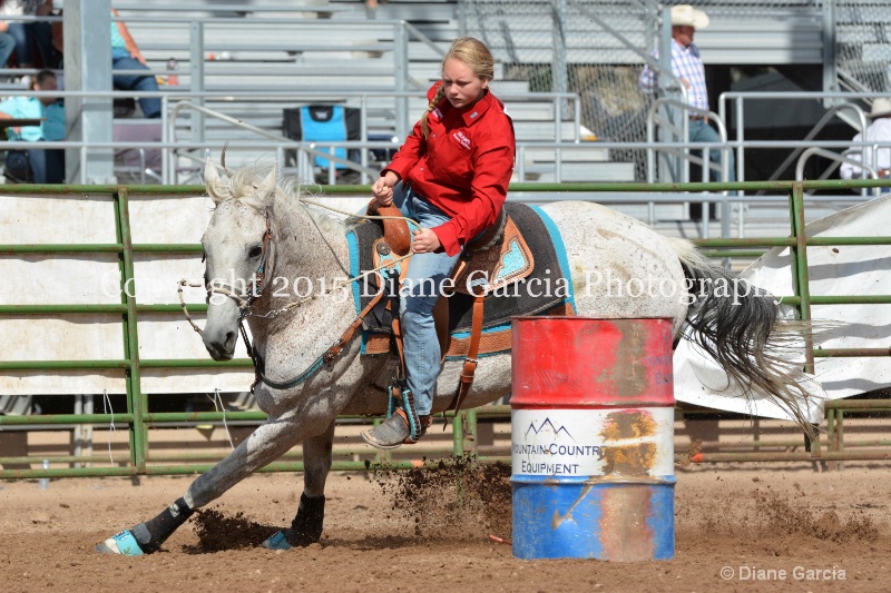 emory carter jr high rodeo nephi 2015 6