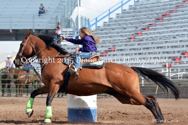 dallie bastain jr high rodeo nephi 2015 8