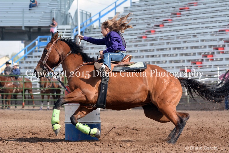 dallie bastain jr high rodeo nephi 2015 7