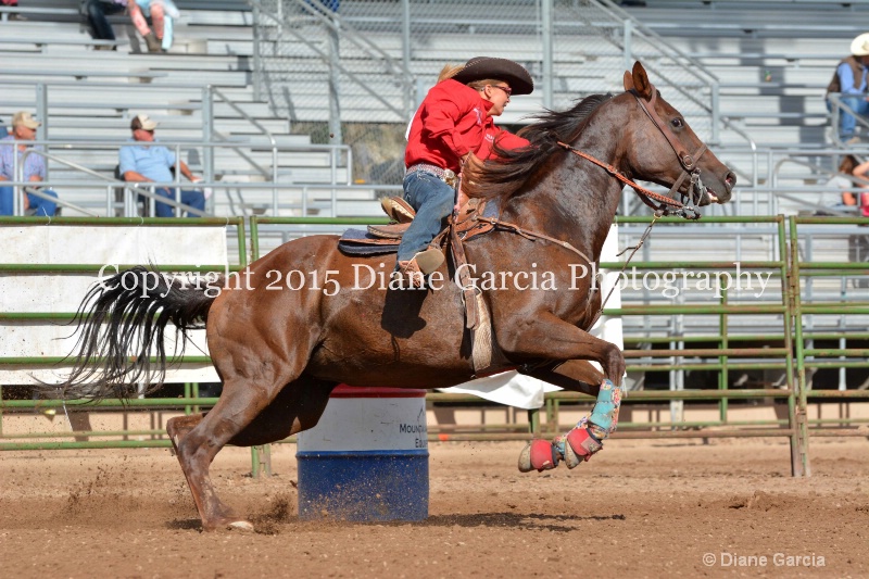 brynnlee allred jr high rodeo nephi 2015 11