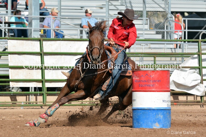 brynnlee allred jr high rodeo nephi 2015 8