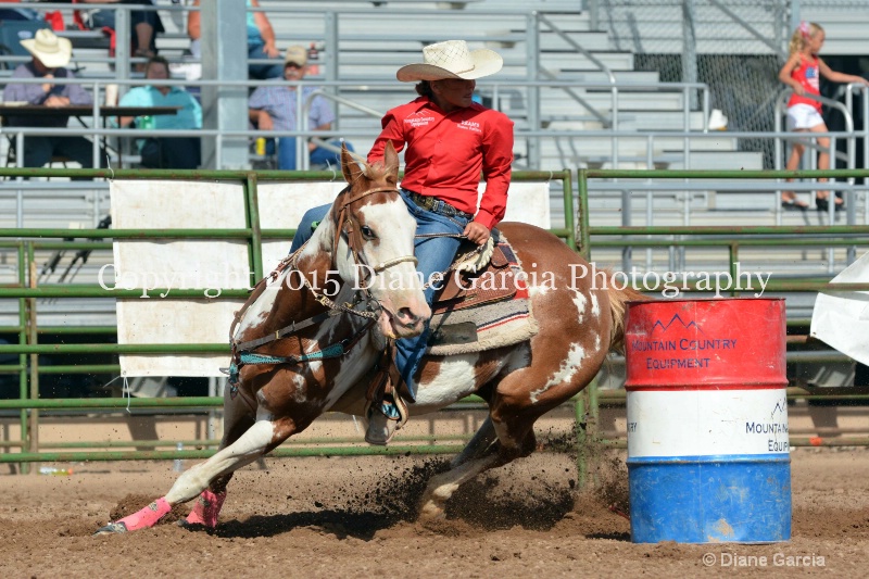 brylee allan jr high rodeo nephi 2015 5