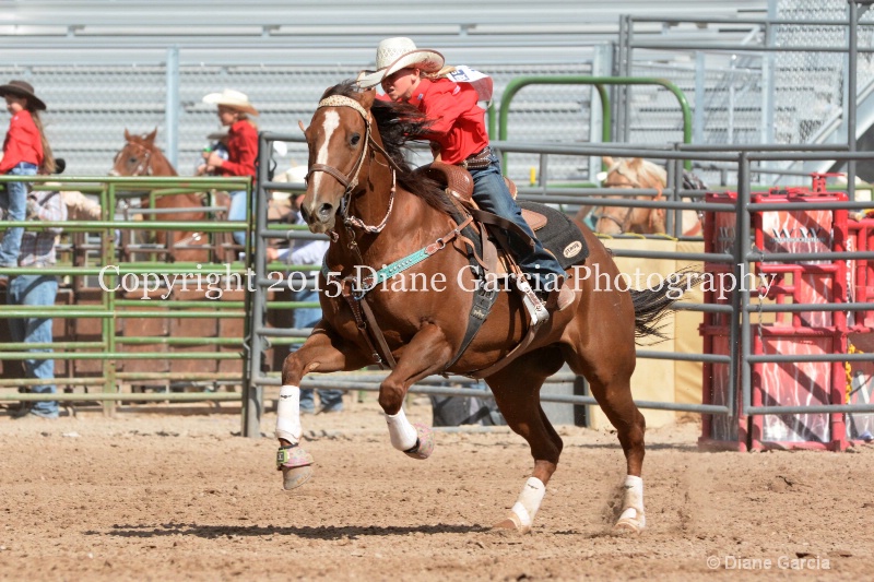 braylee shepherd jr high rodeo nephi 2015 14