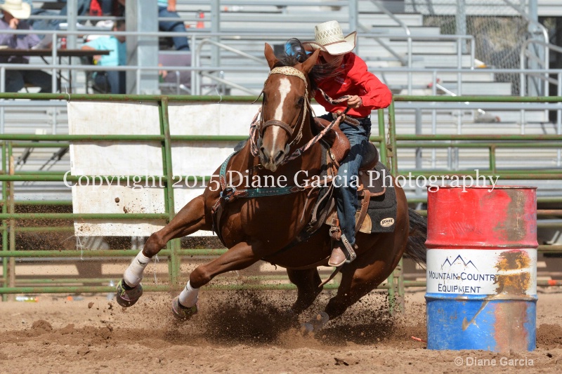 braylee shepherd jr high rodeo nephi 2015 12