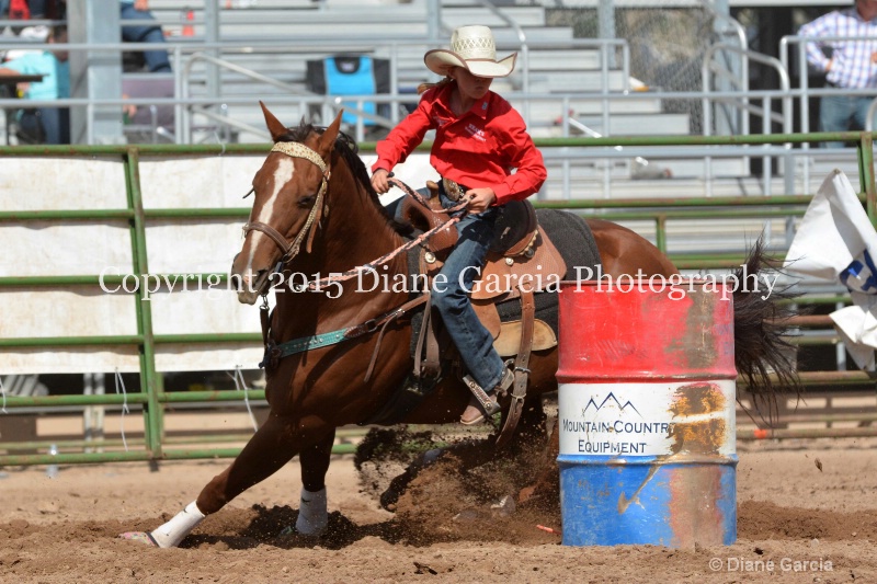 braylee shepherd jr high rodeo nephi 2015 11