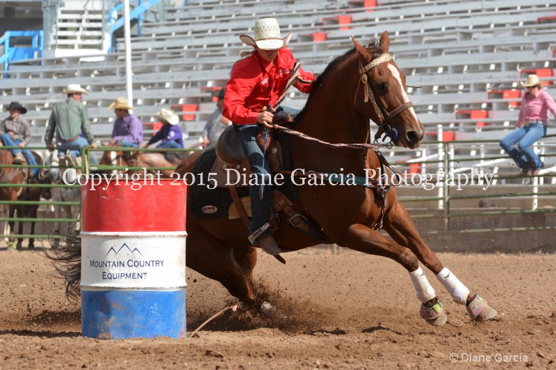 braylee shepherd jr high rodeo nephi 2015 8
