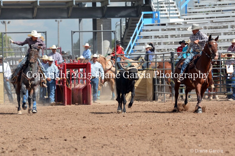 sanderson   nielson jr high rodeo nephi 2015 2