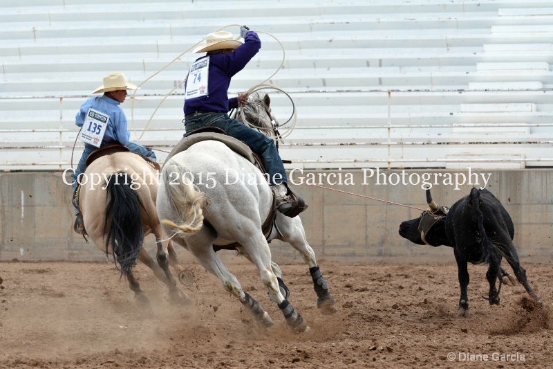 latham   martin jr high rodeo nephi 2015 5