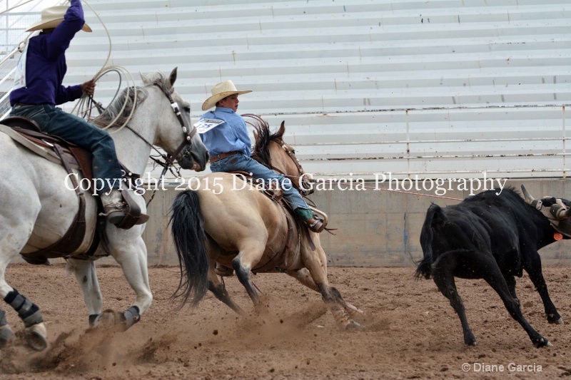 latham   martin jr high rodeo nephi 2015 4