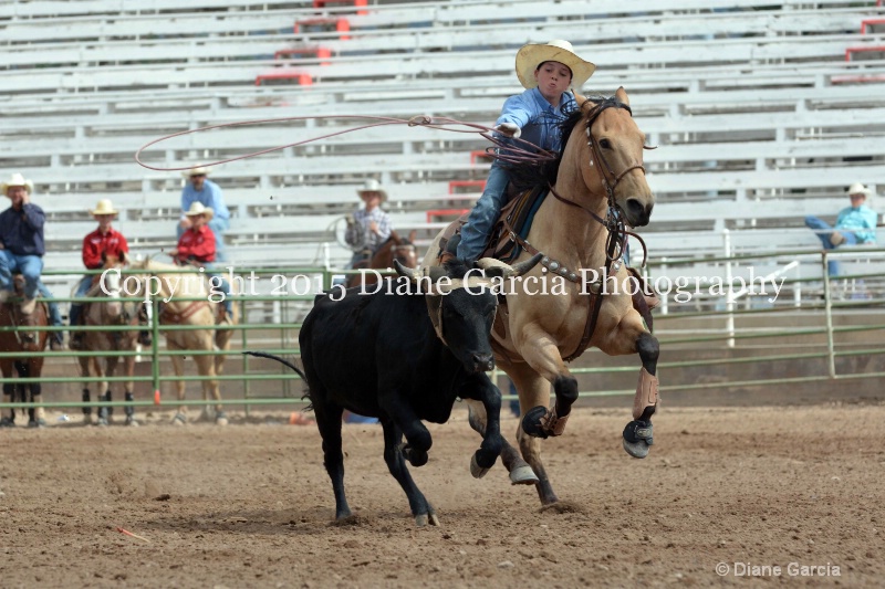 latham   martin jr high rodeo nephi 2015 2