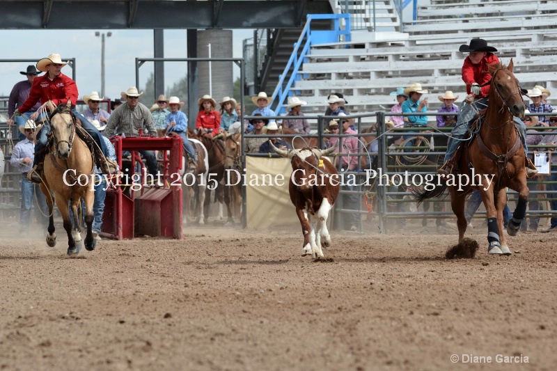 hill   roundy jr high rodeo nephi 2015 1
