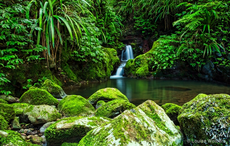 Hidden Pool