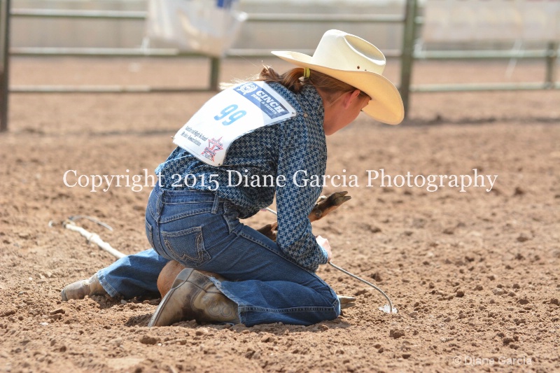 grayce baxter jr high rodeo nephi 2015 8