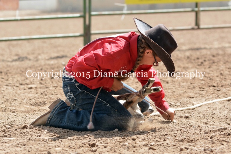 brynnlee allred jr high rodeo nephi 2015 19