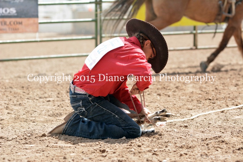 brynnlee allred jr high rodeo nephi 2015 17