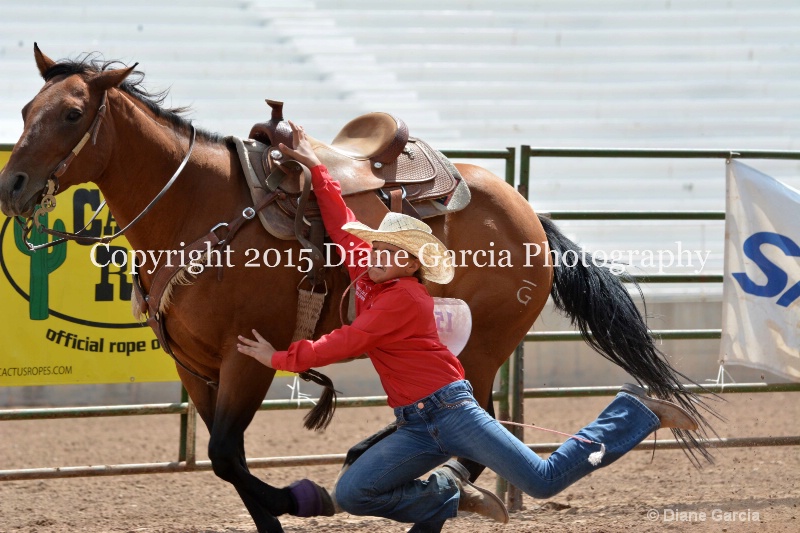 brylee allan jr high rodeo nephi 2015 11