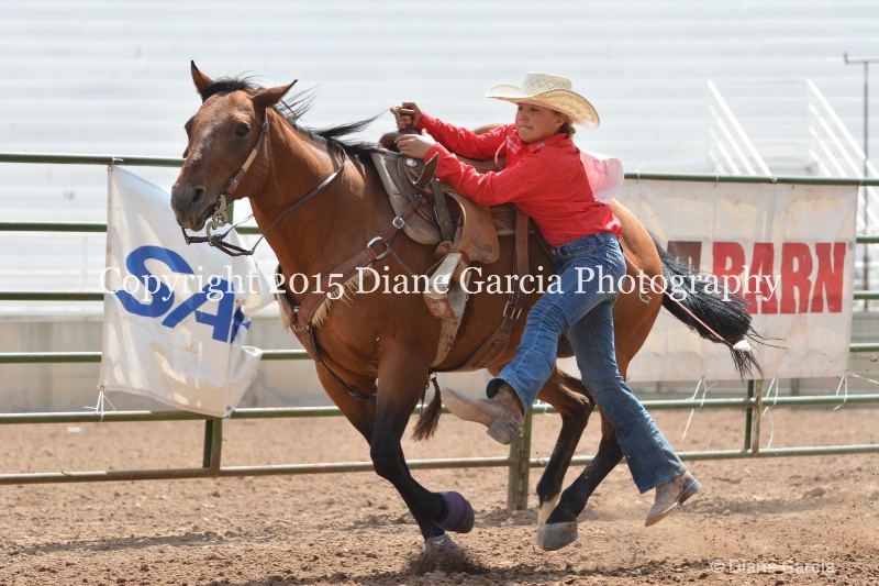brylee allan jr high rodeo nephi 2015 10