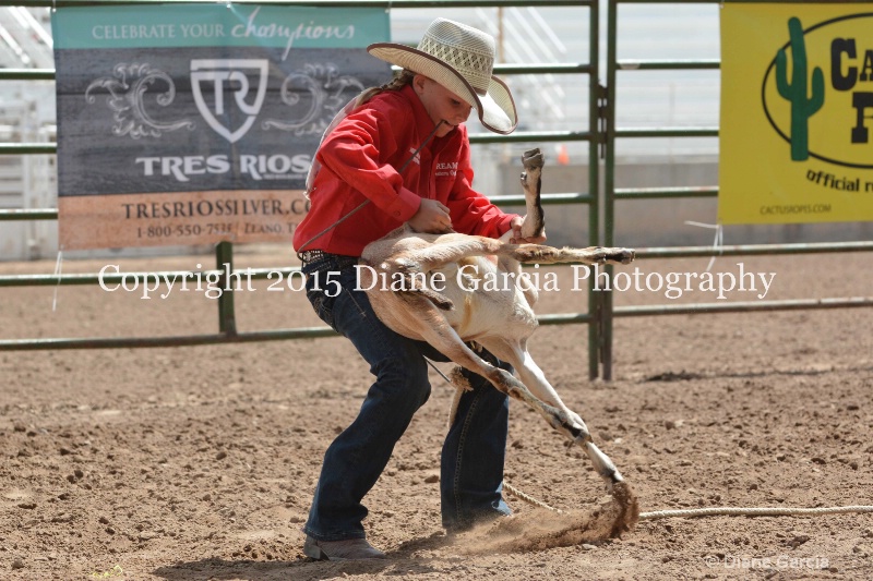 braylee shepherd jr high rodeo nephi 2015 17