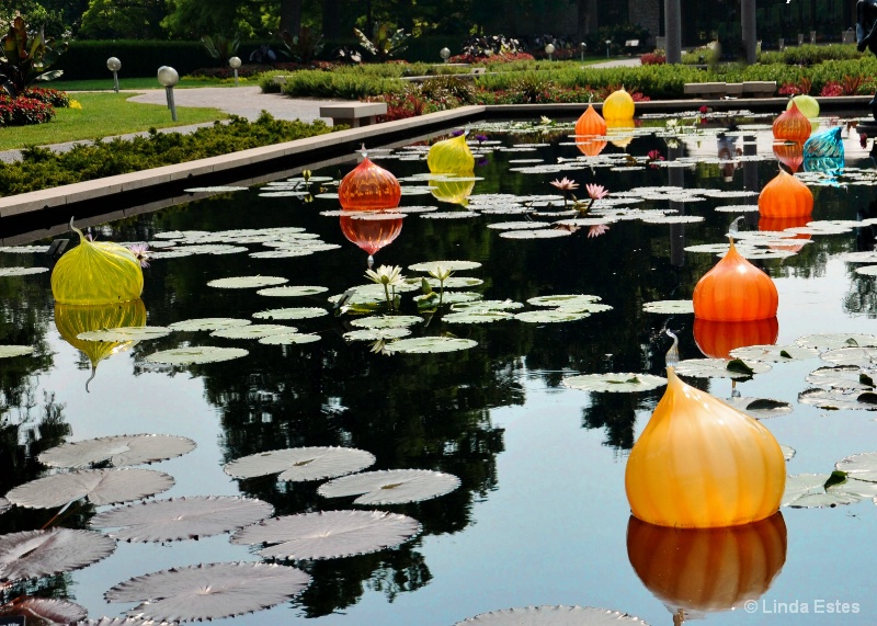 Floating Lanterns at Botanical Garden