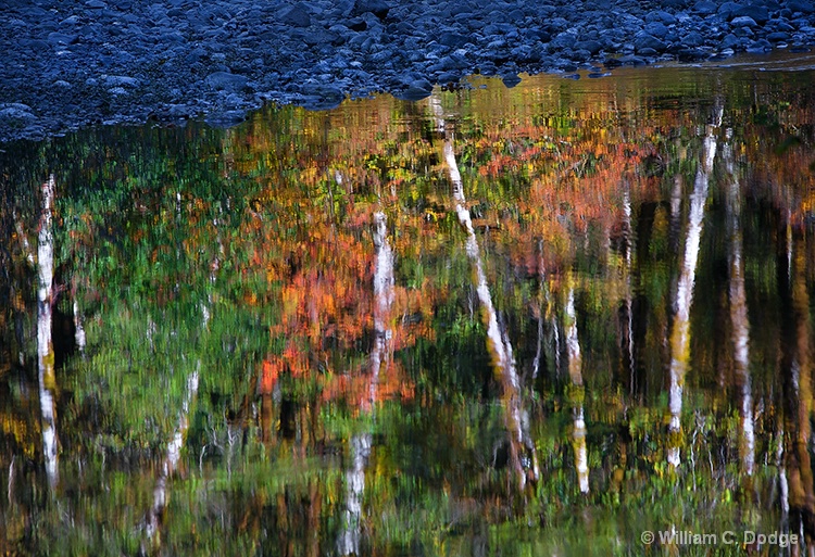 Reflections