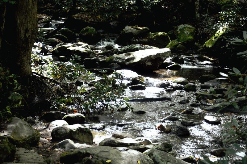 Babbling Brook by Roaring Fork Trail