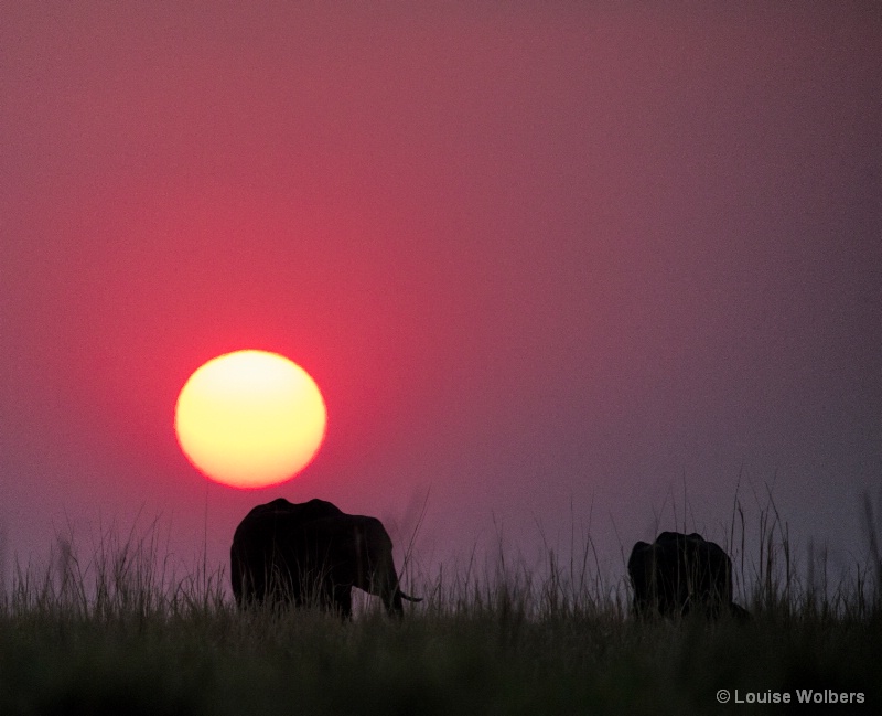 African Sunset